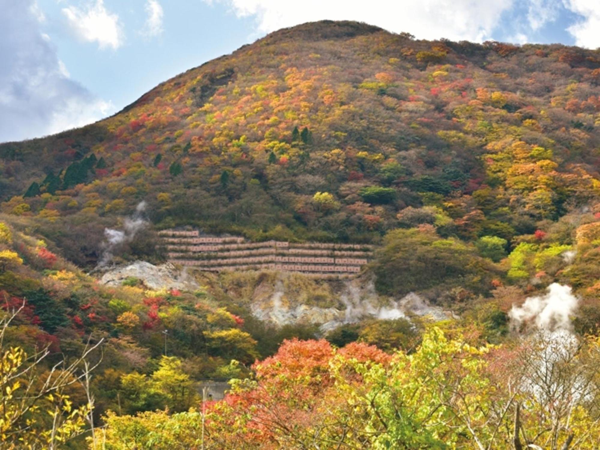 Hakone Yunohana Prince Hotel Kanagawa Exterior foto