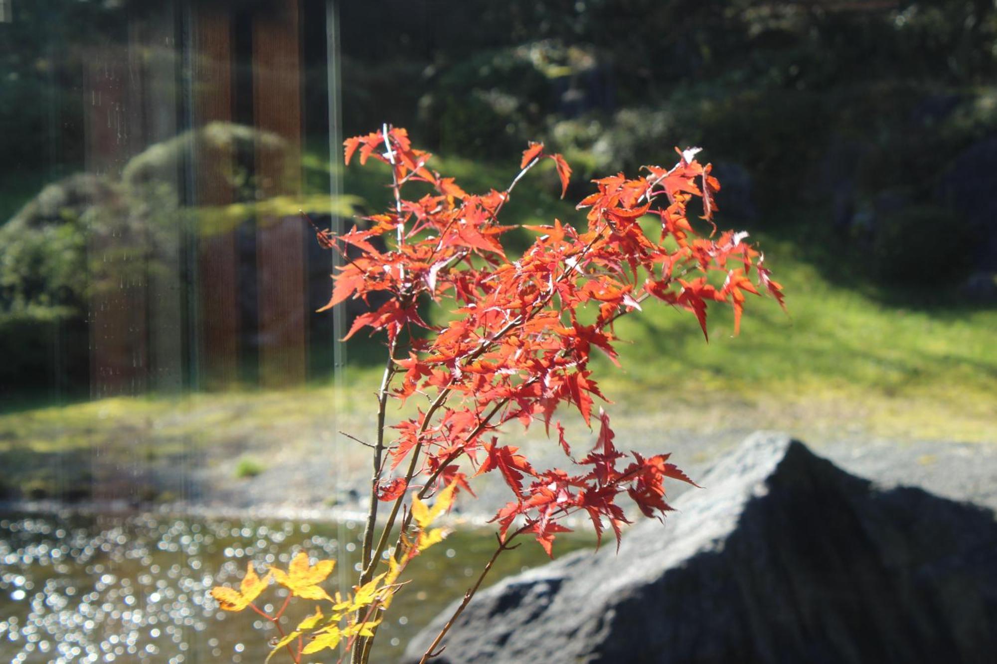 Hakone Yunohana Prince Hotel Kanagawa Exterior foto